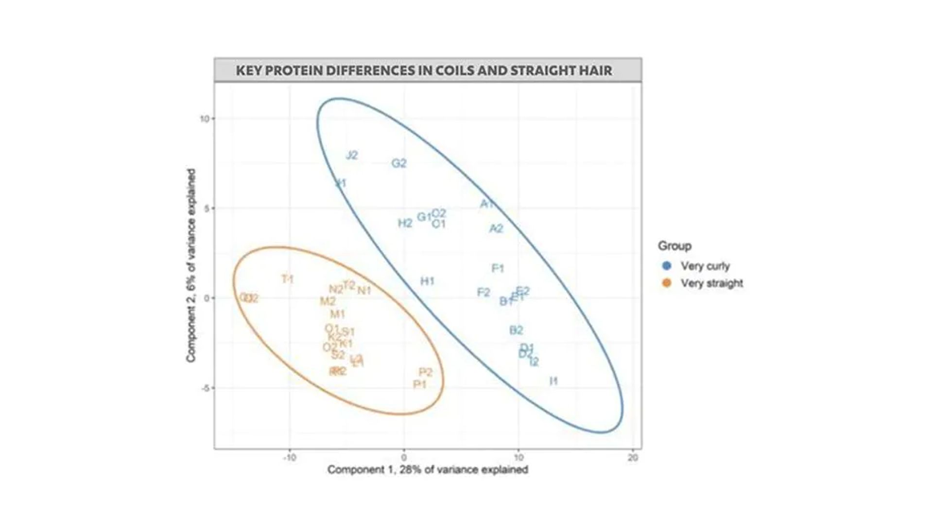 A slide showing two groups of proteins that define hair type
