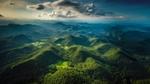 Rainforest in the mountains of Western Thailand.
