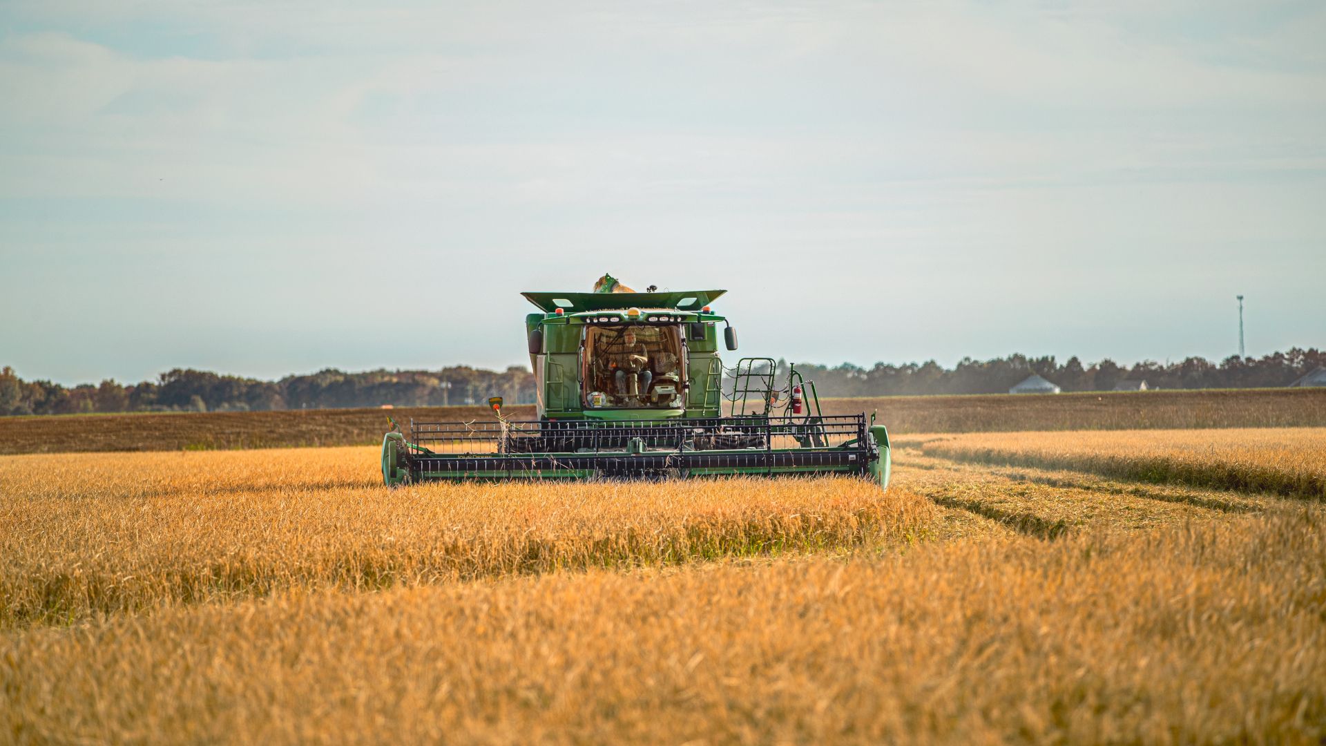 A combine harvester harvesting in a field