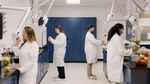 Four Unilever scientists in white lab coats work at counters in an R&D lab.