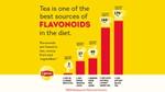 Chart showing tea as one of the best sources of Flavonoids in the diet versus other foods such as fruits and vegetables.